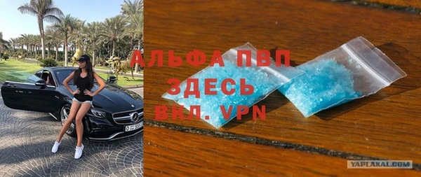 тгк Абаза