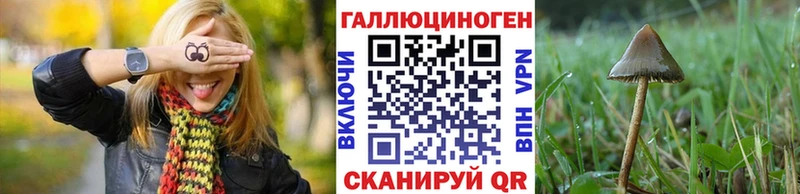 Галлюциногенные грибы мухоморы  Западная Двина 